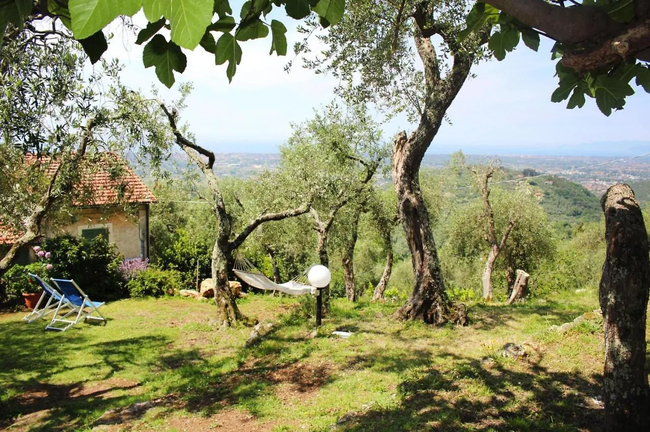 Villa Fiorita, Monteggiori Santa Lucia  0*, Santa Lucia (Lucca)